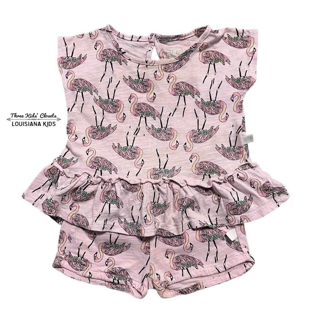 Rosie Pope 12m Flamingo Shorts Set